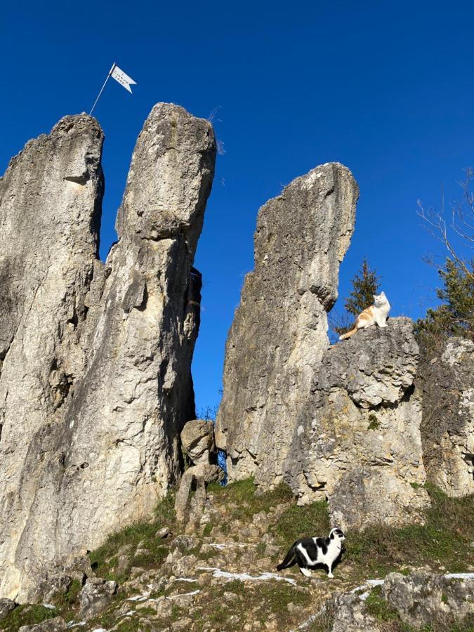 Gasthof Zur Sagemuhle Lägenhet Hiltpoltstein Exteriör bild