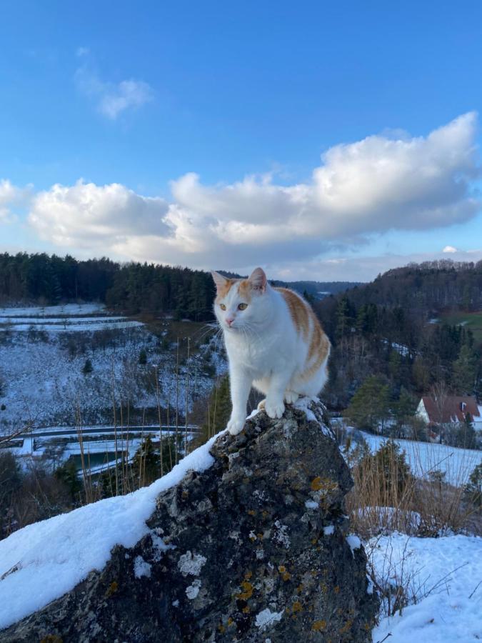 Gasthof Zur Sagemuhle Lägenhet Hiltpoltstein Exteriör bild