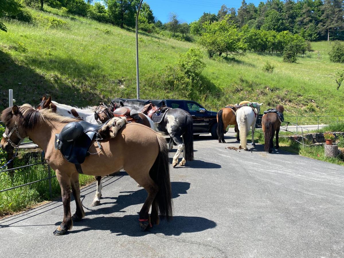 Gasthof Zur Sagemuhle Lägenhet Hiltpoltstein Exteriör bild