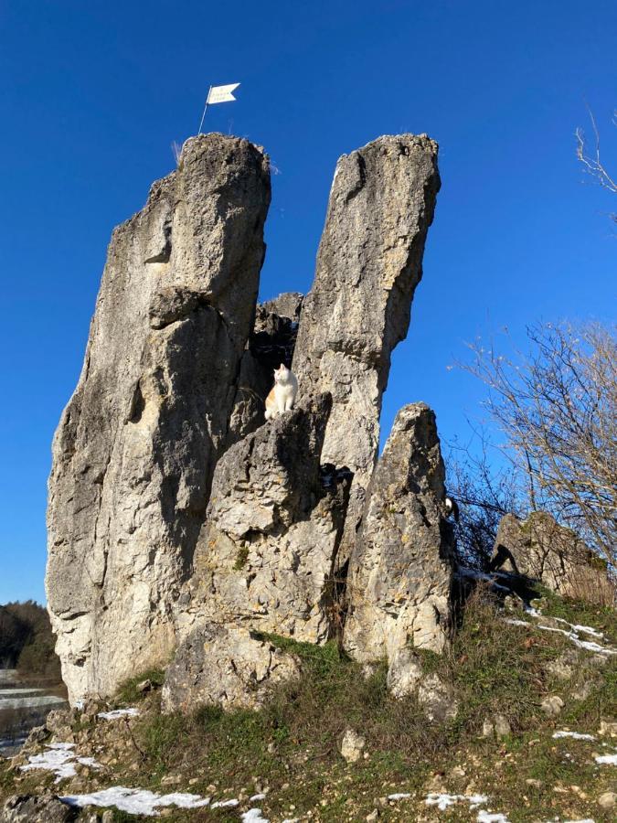 Gasthof Zur Sagemuhle Lägenhet Hiltpoltstein Exteriör bild