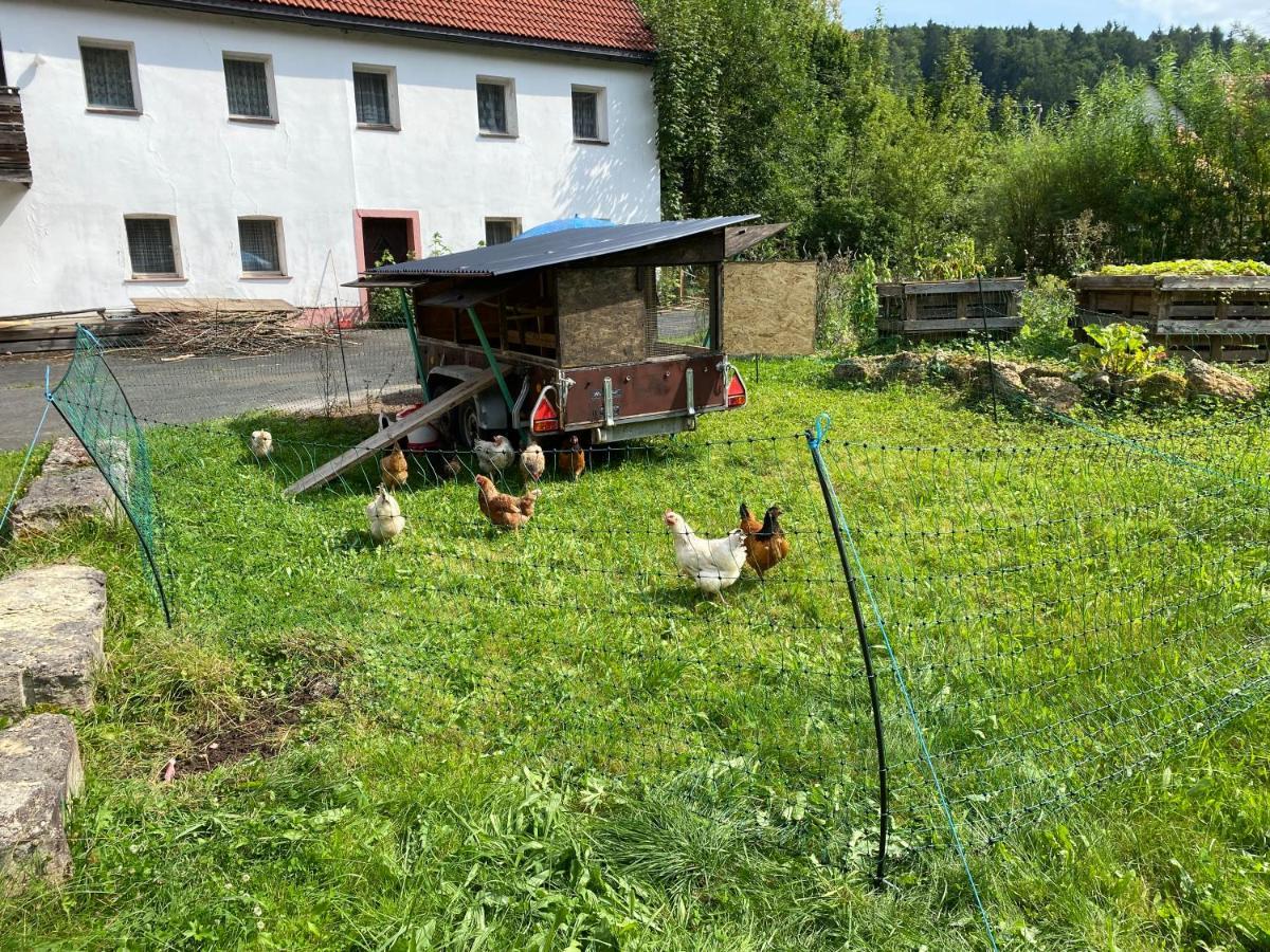 Gasthof Zur Sagemuhle Lägenhet Hiltpoltstein Exteriör bild